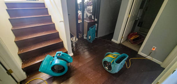 Best Flood damage cleanup  in Henderson, TX