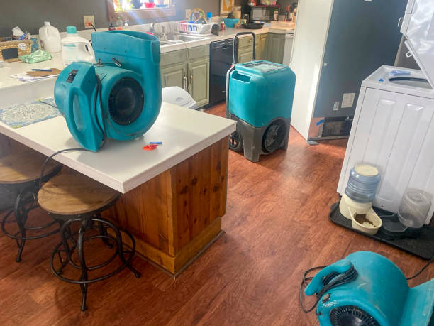 Best Local water damage restoration  in Henderson, TX