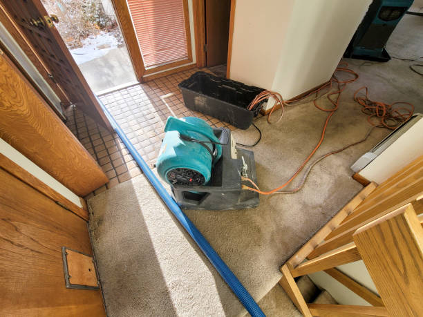Best Emergency water damage restoration  in Henderson, TX