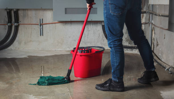 Best Carpet water damage restoration  in Henderson, TX