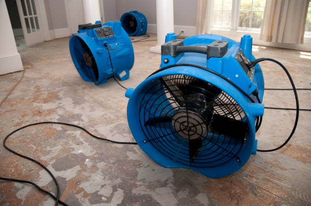 Best 24-hour water damage restoration  in Henderson, TX