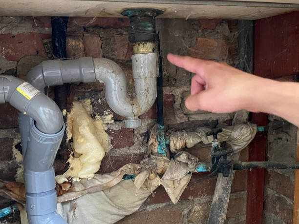Best Flooded house restoration  in Henderson, TX