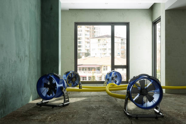 Fire Damage Restoration in Henderson, TX
