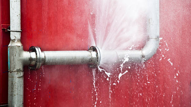 Best Water damage contractors near me  in Henderson, TX